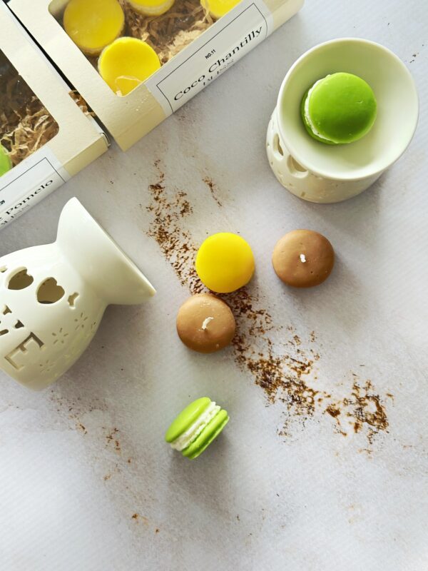 Cera aromática macarrón X 6