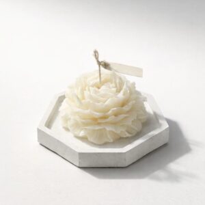 Peonías Bliss + Base en Concreto