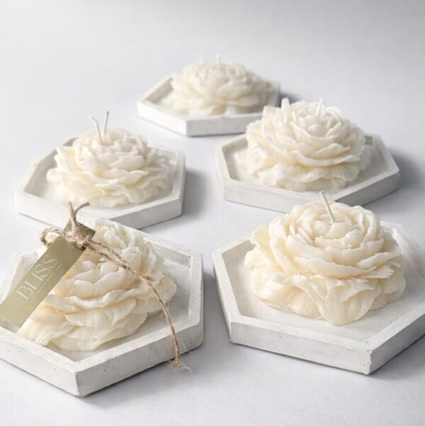 Peonías Bliss + Base en Concreto