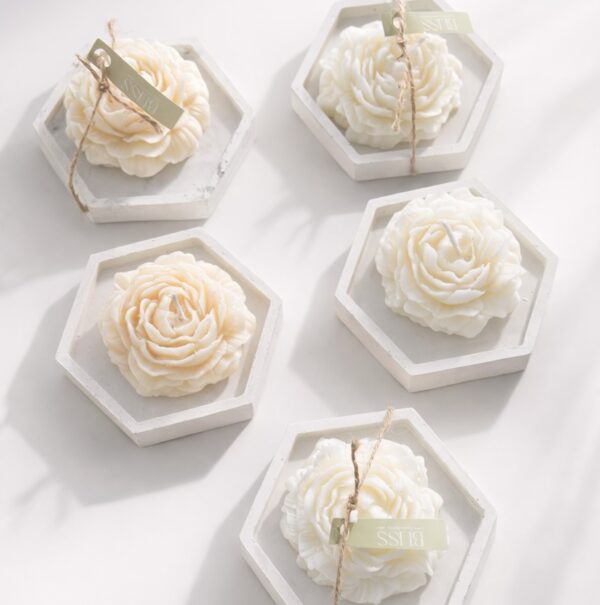 Peonías Bliss + Base en Concreto