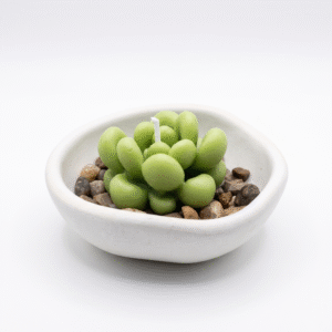 Cactus Alma Verde
