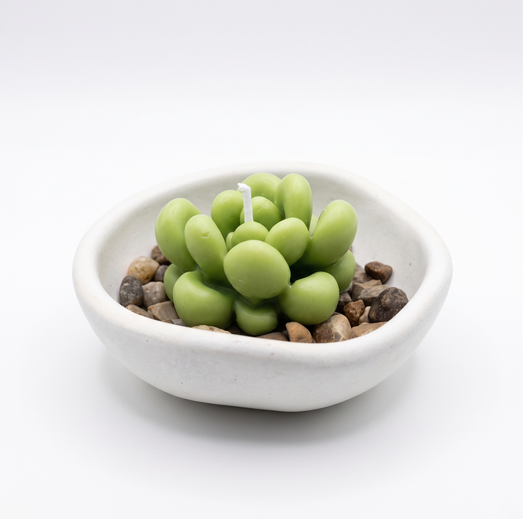 Cactus Alma Verde