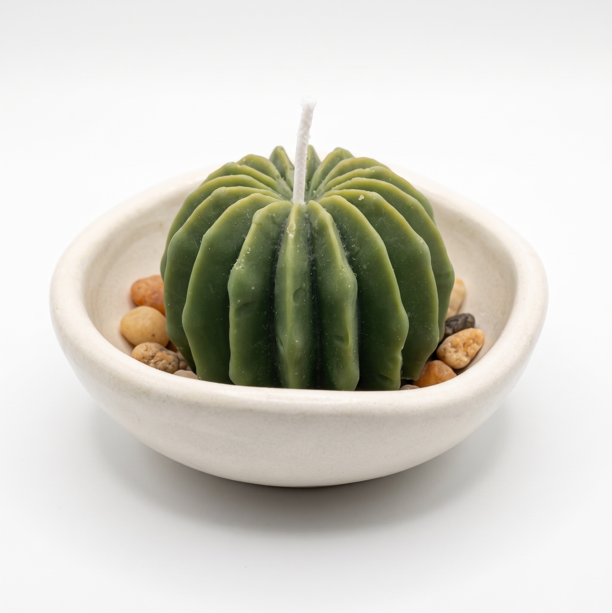Cactus Sereno