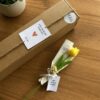Bouquet de velas decorativas tulipan Elegance 2 Tulipán Elegance