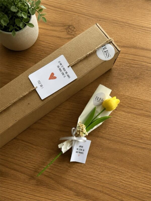 Bouquet de velas decorativas tulipan Elegance 2 Tulipán Elegance